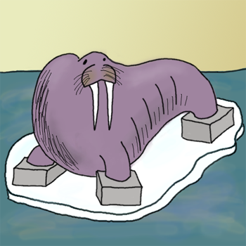 Cementbeat Walrus