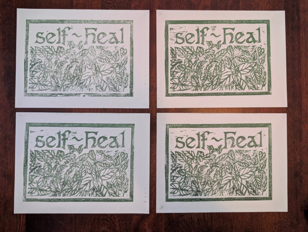 four linocut prints of the common herb self-heal